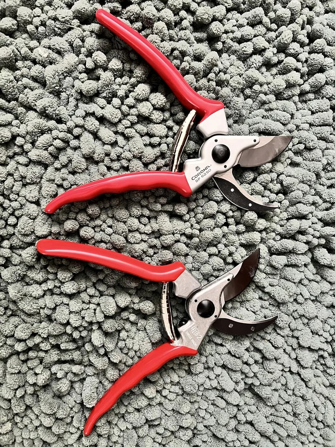 Customer photo of Felco bypass pruner with closed blades resting on camellia branches