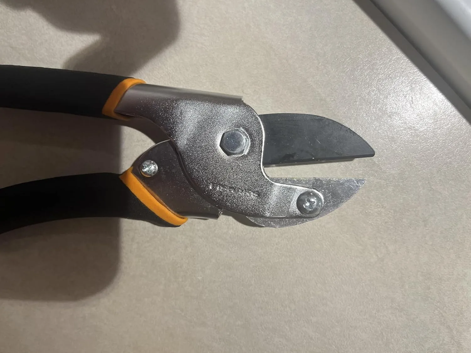 Customer photo of camellia pruning shears in action on flowering camellia branches