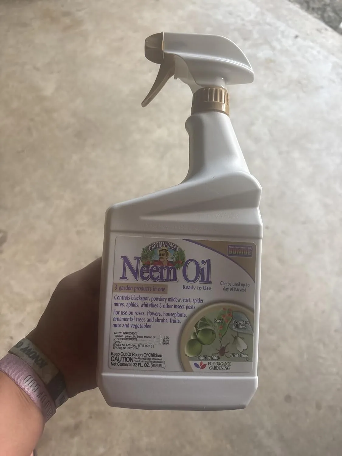 Customer photo of organic pest control spray bottle application on camellia plant leaves