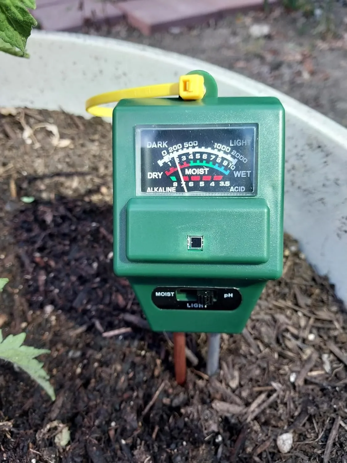 Customer photo of soil pH meter being used to test camellia garden bed soil