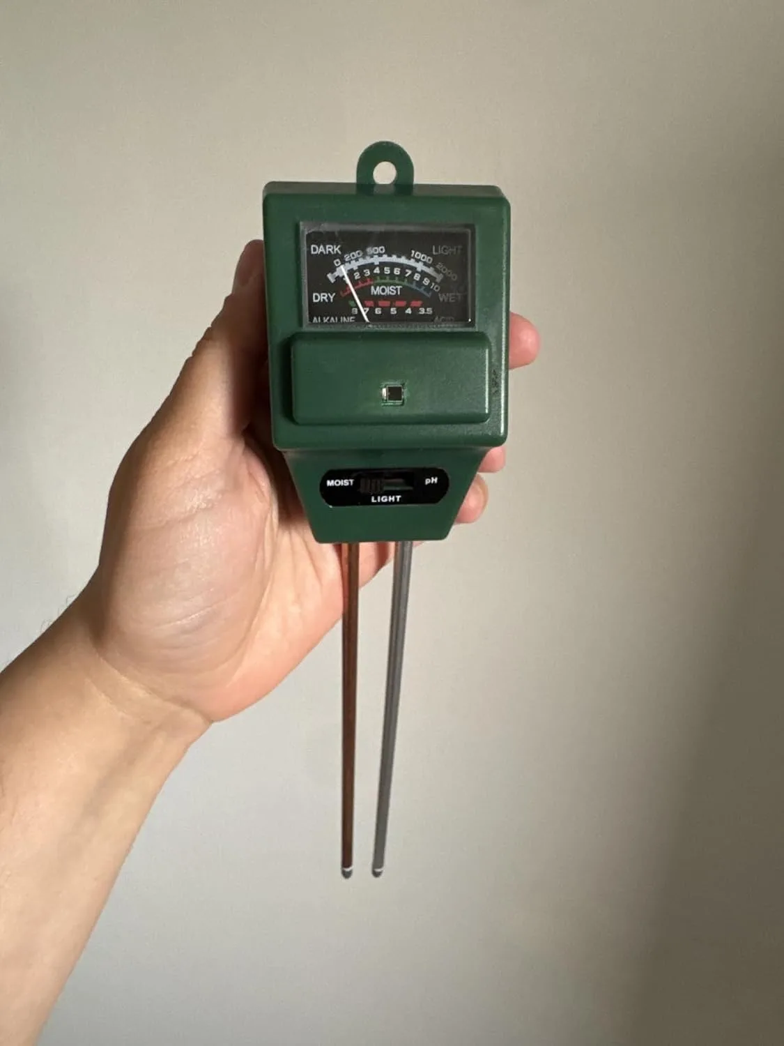 Customer photo showing soil pH meter being used to test acidic soil in a camellia garden bed