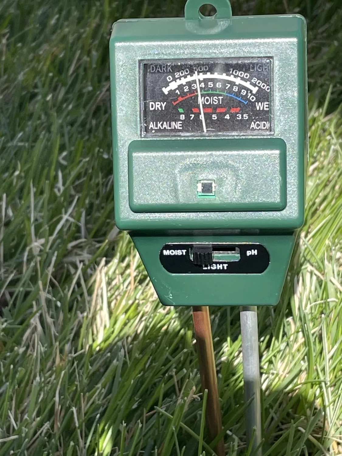 Customer photo of soil pH meter displaying reading in moist camellia garden soil