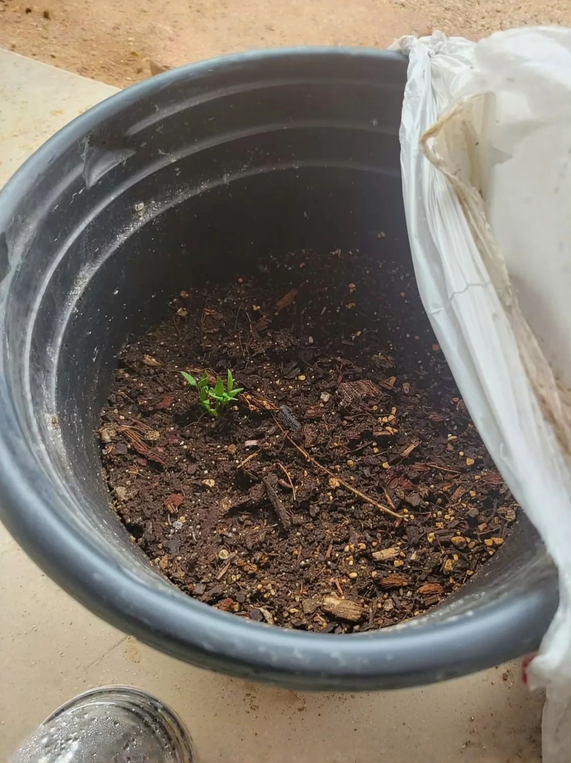 Customer photo of drainage amendment mixed into waterlogged garden soil