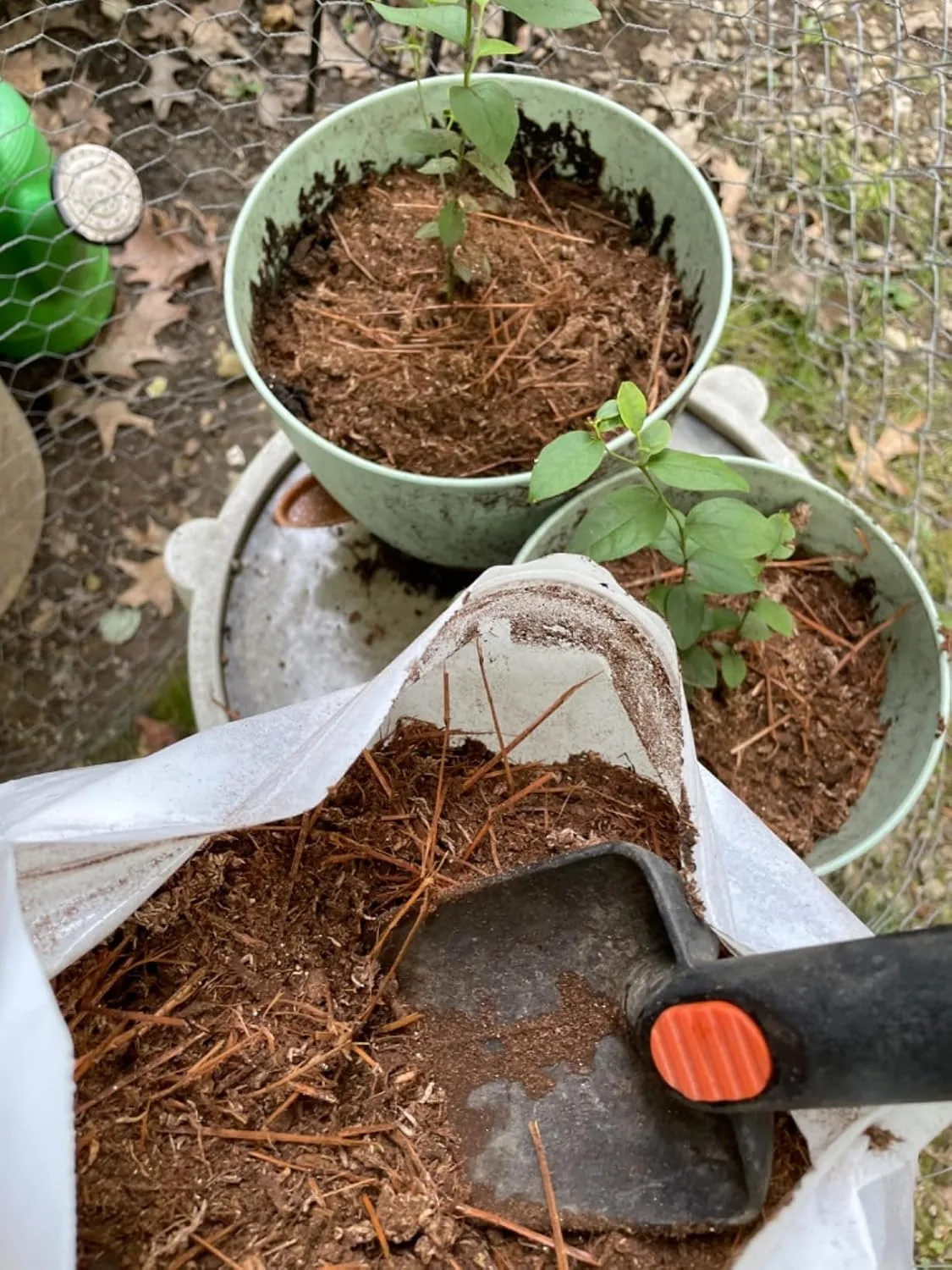 Customer photo of azalea and camellia potting mix spread in raised garden beds