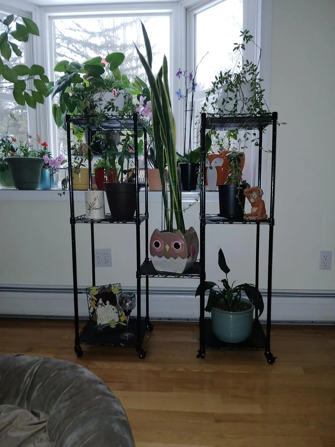 Customer review photo for Infuse Your Home with Elegance: Creative Ways to Use Camellia Scents Indoors