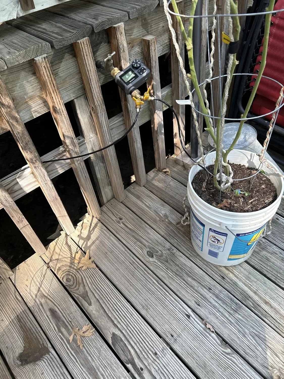 Customer photo of drip irrigation timer installed on camellia hedge watering system