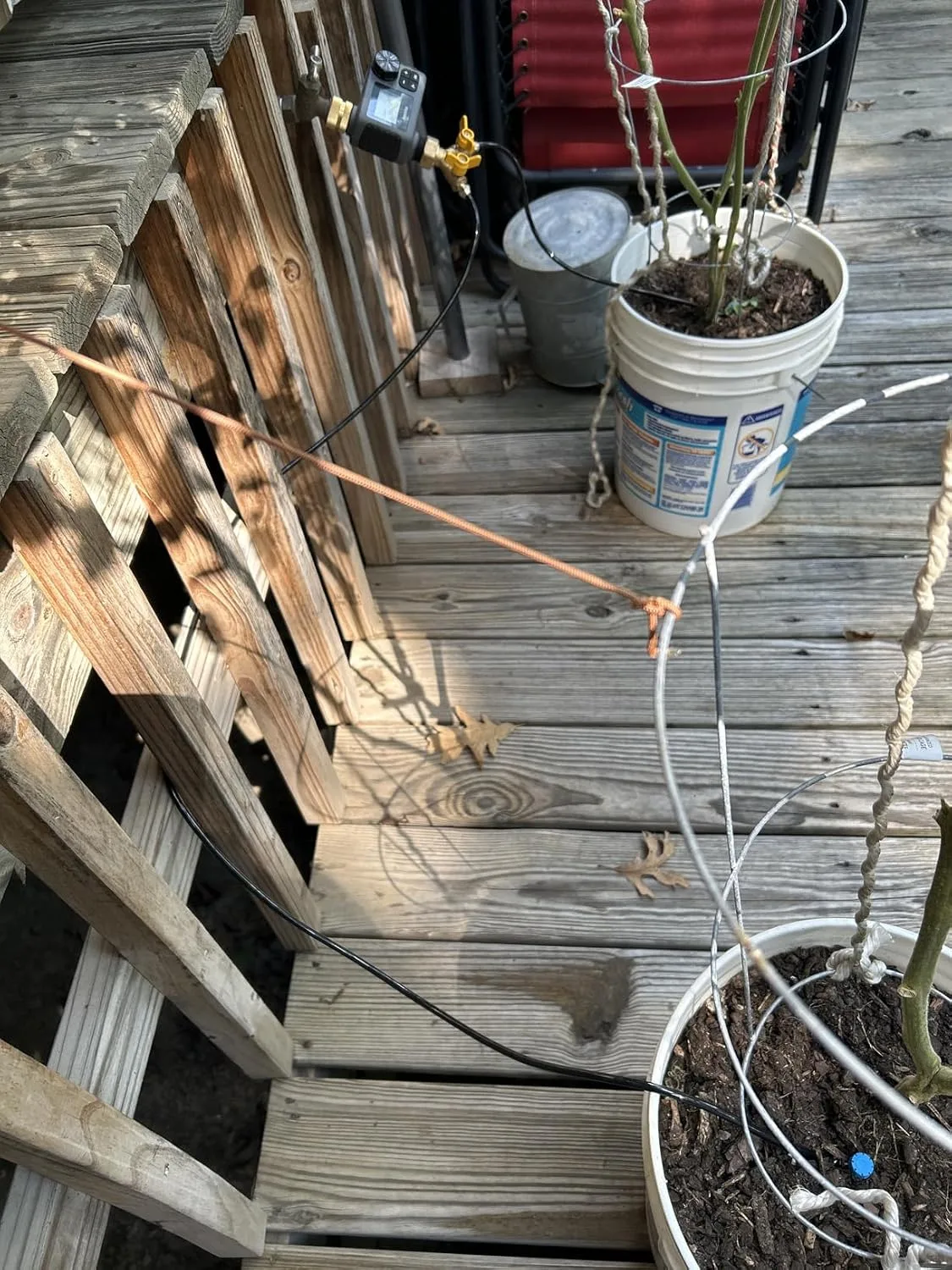 Customer photo of drip irrigation timer installed on garden hose connected to camellia hedge